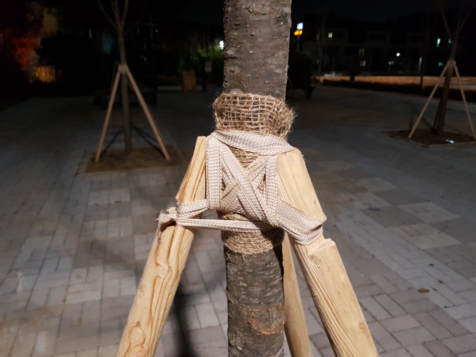 삼발이 지주목 밴드·쥬트 테이프 결속